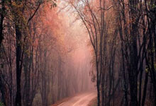 北京女足主帅:全运会资格赛确实分入死亡之组,向最高目标冲击.