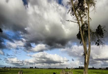 非凡娱乐：步行者险胜终结绿军4连胜 活塞力克76人获首胜.