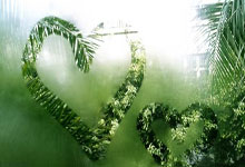 非凡娱乐：步行者险胜终结绿军4连胜 活塞力克76人获首胜.