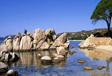 沙特2亿镑合同？维尼修斯：我想留在皇马 希望完成续约.